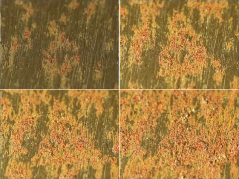 workpiece rust process workpiece rust process